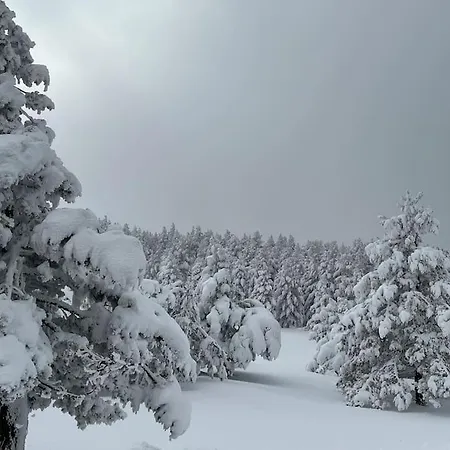 Casa Suu Vute-23-025