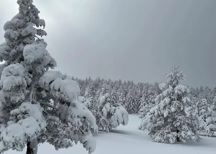 Casa Suu Vute-23-025